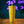 The Fitz Colour Cup