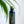 Botella Térmica The Fitzgerald Bad Ones